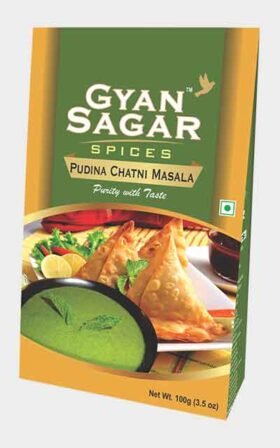 Pudina Chatni Masala