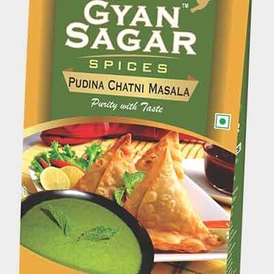 Pudina Chatni Masala - Image 1
