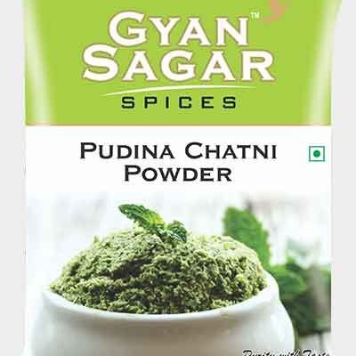 Pudina Chatni Powder - Image 1
